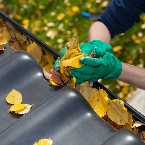 BFTraitement - nettoyage changement gouttière PVC