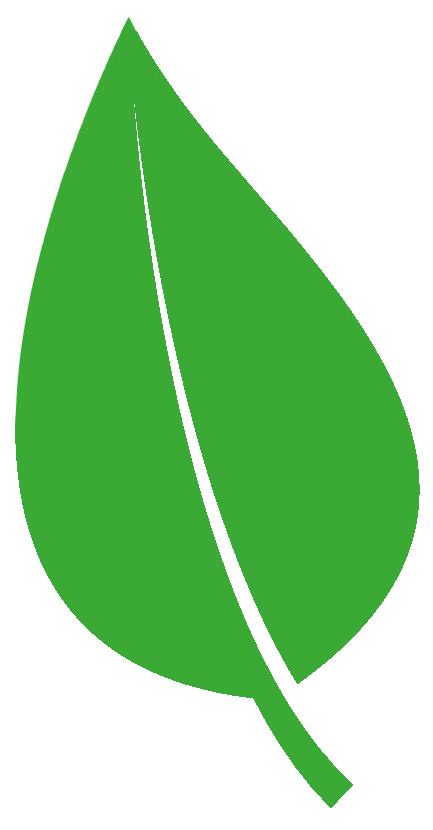 BFTraitement - feuille LOGO